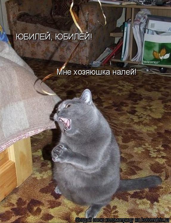 ЮБИЛЕЙ, ЮБИЛЕЙ! Мне хозяюшка налей!... Котоматрица: ЮБИЛЕЙ, ЮБИЛЕЙ! Мне хозяюшка налей!