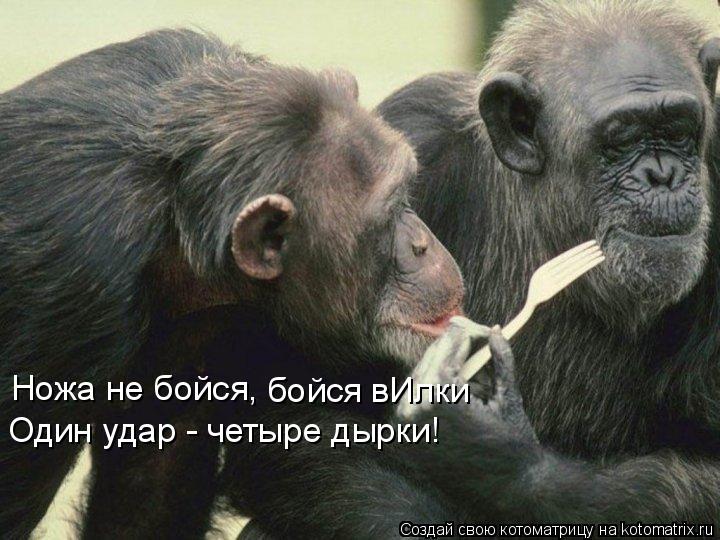 Ножа не бойся, бойся вИлки Один удар - четыре дырки!... Котоматрица: Ножа не бойся, бойся вИлки Один удар - четыре дырки!