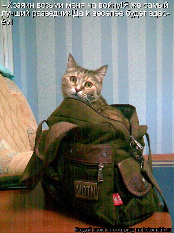 --Хозяин,возьми меня на войну!Я же самый лучший разведчик!Да и веселее будет вдво- ём!... Котоматрица: --Хозяин,возьми меня на войну!Я же самый лучший разведчик!Да и веселее будет вдво- ём!