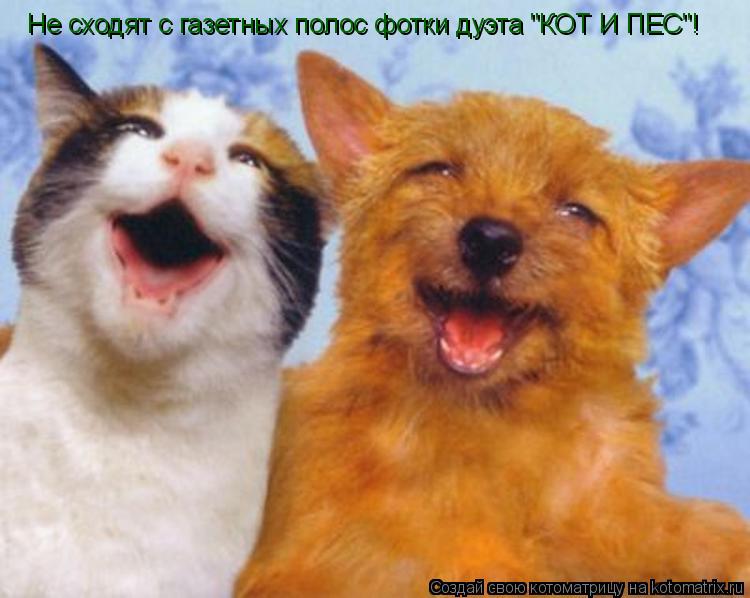 Не сходят с газетных полос фотки дуэта "КОТ И ПЕС"!... Котоматрица: Не сходят с газетных полос фотки дуэта "КОТ И ПЕС"!