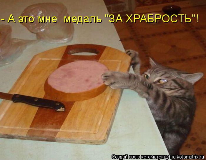 Котоматрица: - А это мне  медаль "ЗА ХРАБРОСТЬ"!