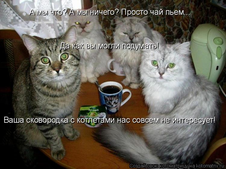 Котоматрица: А мы что? А мы ничего? Просто чай пьем... Да как вы могли подумать!  Ваша сковородка с котлетами нас совсем не интересует!