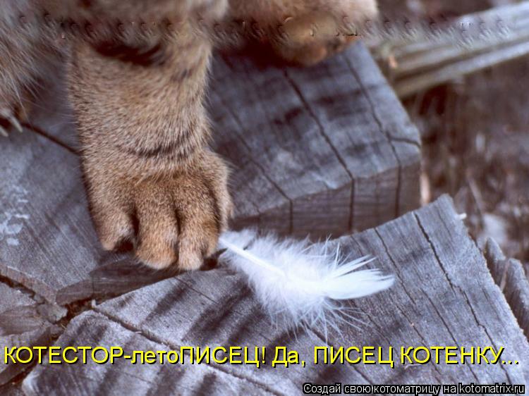 КОТЕСТОР-летоПИСЕЦ! Да, ПИСЕЦ КОТЕНКУ...... Котоматрица: КОТЕСТОР-летоПИСЕЦ! Да, ПИСЕЦ КОТЕНКУ...