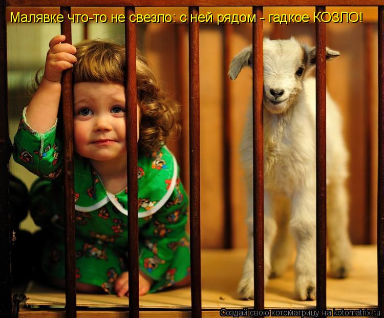 Малявке что-то не свезло: с ней рядом - гадкое КОЗЛО!... Котоматрица: Малявке что-то не свезло: с ней рядом - гадкое КОЗЛО!