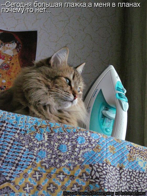 --Сегодня большая глажка,а меня в планах почему-то нет...... Котоматрица: --Сегодня большая глажка,а меня в планах почему-то нет...