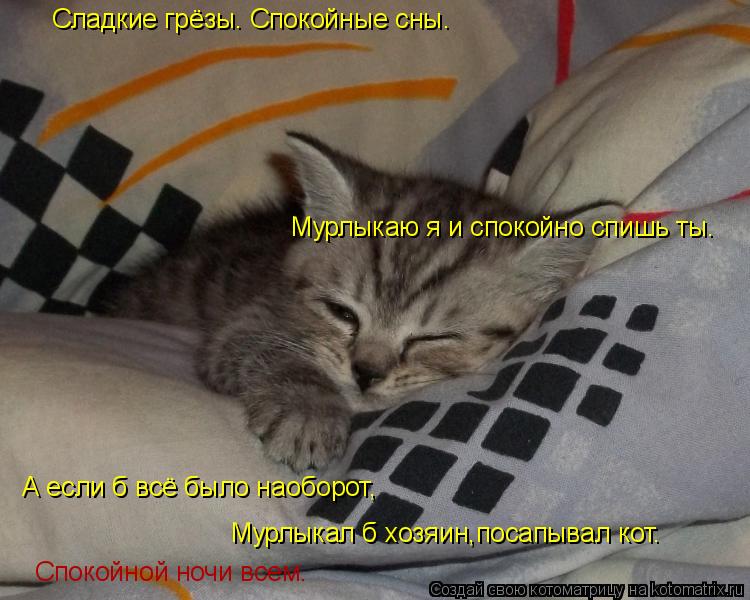Сладкие грёзы. Спокойные сны. Мурлыкаю я и спокойно спишь ты. А если б всё было наоборот, Мурлыкал б... Котоматрица: Сладкие грёзы. Спокойные сны. Мурлыкаю я и спокойно спишь ты. А если б всё было наоборот, Мурлыкал б хозяин,посапывал кот. Спокойной ночи все