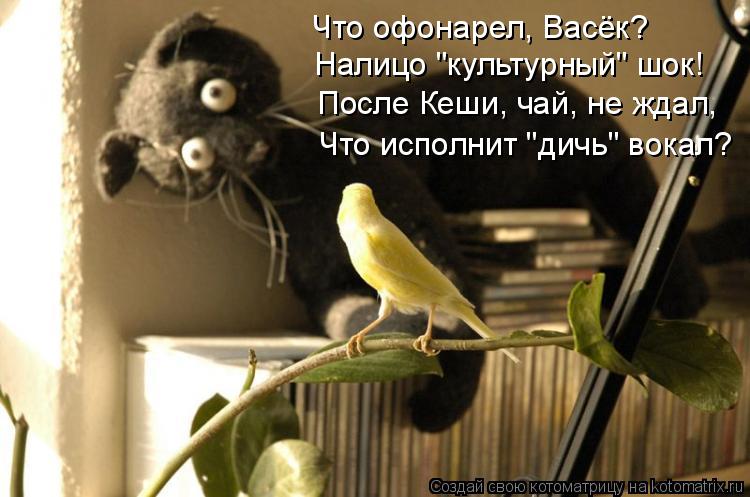 Что офонарел, Васёк? Налицо "культурный" шок! После Кеши, чай, не ждал, Что исполнит "дичь" вокал?... Котоматрица: Что офонарел, Васёк? Налицо "культурный" шок! После Кеши, чай, не ждал, Что исполнит "дичь" вокал?