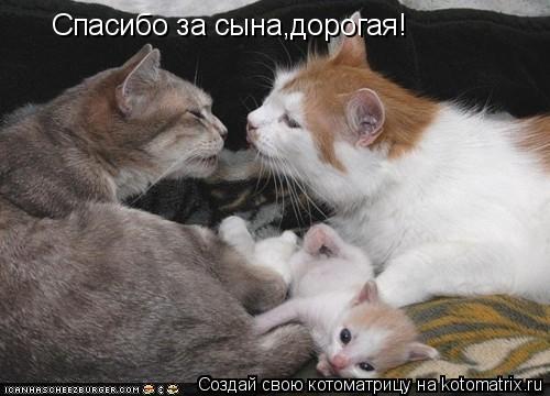 Спасибо за сына,дорогая!... Котоматрица: Спасибо за сына,дорогая!
