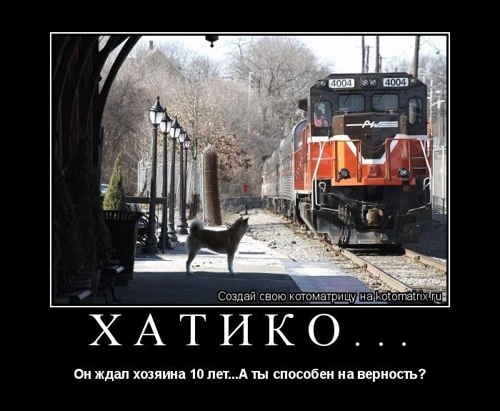 Хатико... Он ждал хозяина 10 лет...А ты способен на верность?... Котоматрица: Хатико... Он ждал хозяина 10 лет...А ты способен на верность?