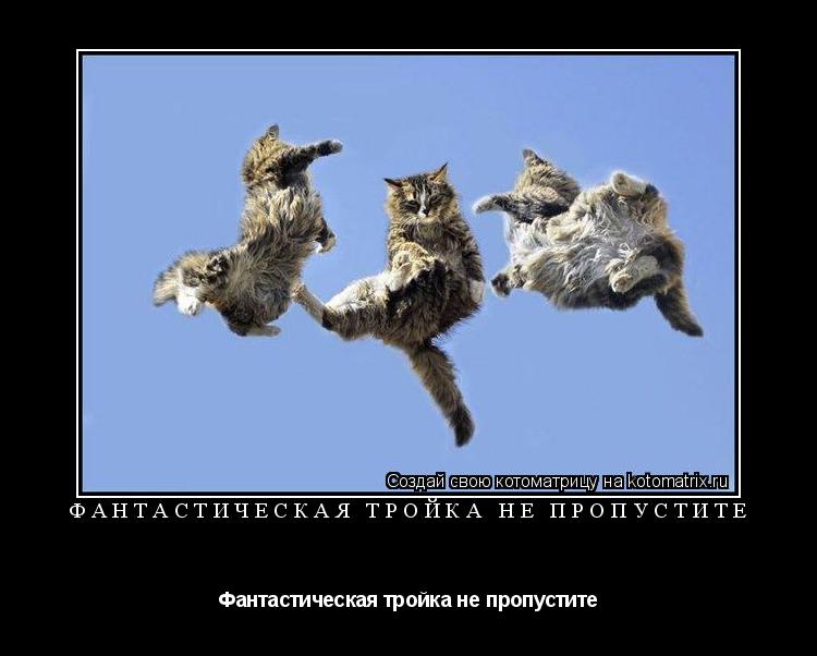 Фантастическая тройка не пропустите Фантастическая тройка не пропустите... Котоматрица: Фантастическая тройка не пропустите Фантастическая тройка не пропустите