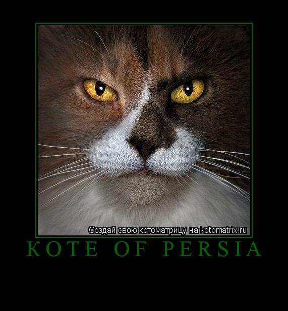 Коте of Persia ... Котоматрица: Коте of Persia