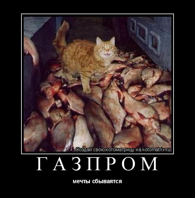 Газпром мечты сбываятся... Котоматрица: Газпром мечты сбываятся
