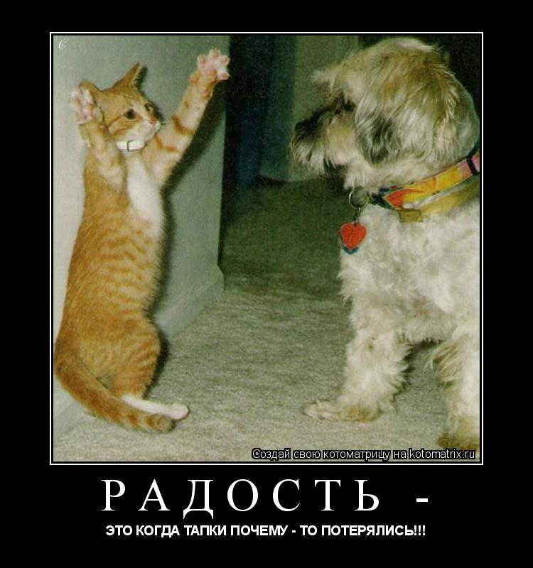 РАДОСТЬ - ЭТО КОГДА ТАПКИ ПОЧЕМУ - ТО ПОТЕРЯЛИСЬ!!!... Котоматрица: РАДОСТЬ - ЭТО КОГДА ТАПКИ ПОЧЕМУ - ТО ПОТЕРЯЛИСЬ!!!