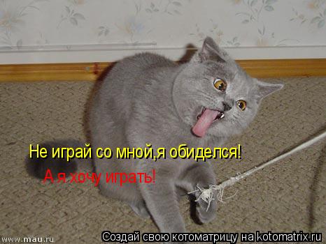 Не играй со мной,я обиделся! А я хочу играть!... Котоматрица: Не играй со мной,я обиделся! А я хочу играть!