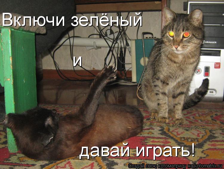 Включи зелёный и давай играть!... Котоматрица: Включи зелёный и давай играть!
