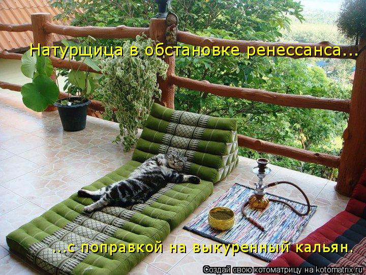Натурщица в обстановке ренессанса... ...с поправкой на выкуренный кальян.... Котоматрица: Натурщица в обстановке ренессанса... ...с поправкой на выкуренный кальян.