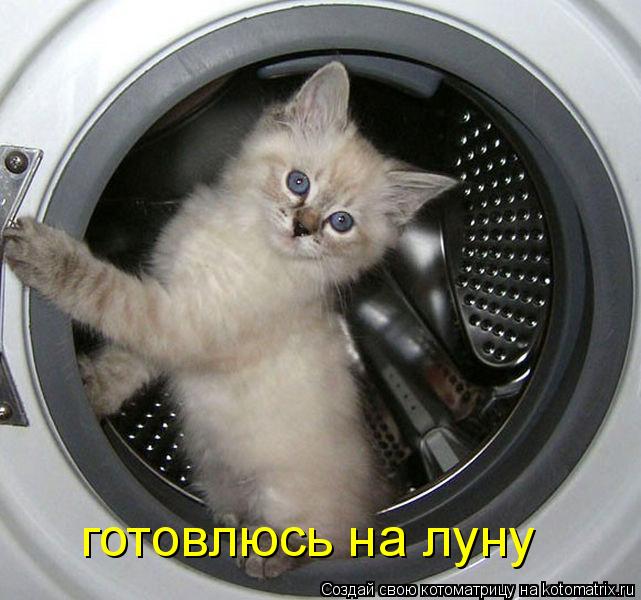 готовлюсь на луну... Котоматрица: готовлюсь на луну