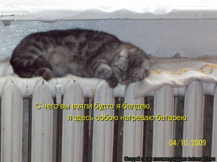 С чего вы взяли будто я балдею, я здесь собою нагреваю батарею.... Котоматрица: С чего вы взяли будто я балдею, я здесь собою нагреваю батарею.