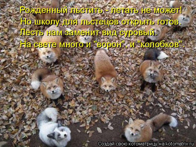 Рожденный льстить - летать не может! Но школу для льстецов открыть готов. Лесть нам заменит вид суров... Котоматрица: Рожденный льстить - летать не может! Но школу для льстецов открыть готов. Лесть нам заменит вид суровый. На свете много и "ворон", и "колобков".