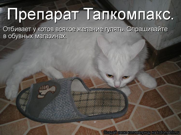 Препарат Тапкомпакс. Отбивает у котов всякое желание гулять. Спрашивайте в обувных магазинах.... Котоматрица: Препарат Тапкомпакс. Отбивает у котов всякое желание гулять. Спрашивайте в обувных магазинах.