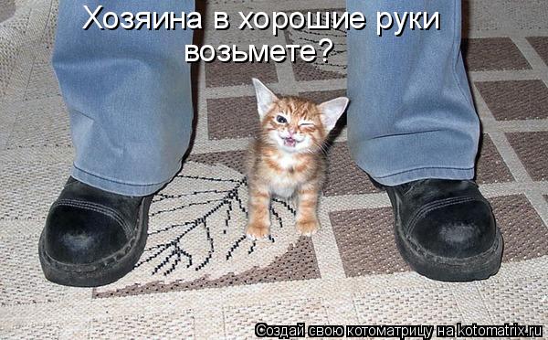 Хозяина в хорошие руки возьмете?... Котоматрица: Хозяина в хорошие руки возьмете?