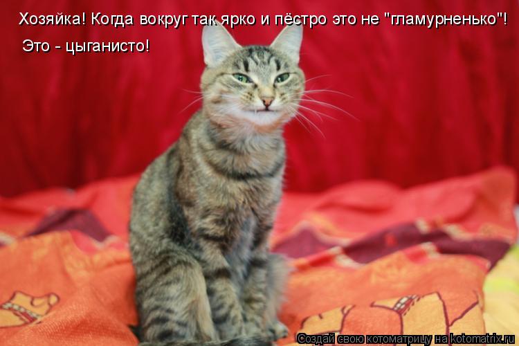Хозяйка! Когда вокруг так ярко и пёстро это не "гламурненько"! Это - цыганисто!... Котоматрица: Хозяйка! Когда вокруг так ярко и пёстро это не "гламурненько"! Это - цыганисто!