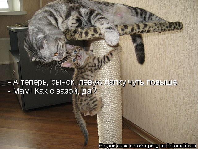 - А теперь, сынок, левую лапку чуть повыше - Мам! Как с вазой, да?... Котоматрица: - А теперь, сынок, левую лапку чуть повыше - Мам! Как с вазой, да?