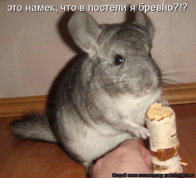 это намек, что в постели я бревно?!?... Котоматрица: это намек, что в постели я бревно?!?