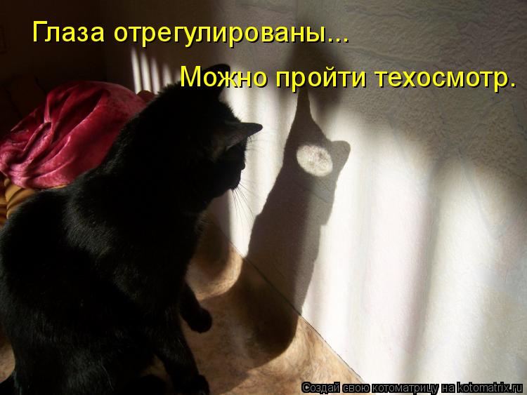 Глаза отрегулированы... Можно пройти техосмотр.... Котоматрица: Глаза отрегулированы... Можно пройти техосмотр.