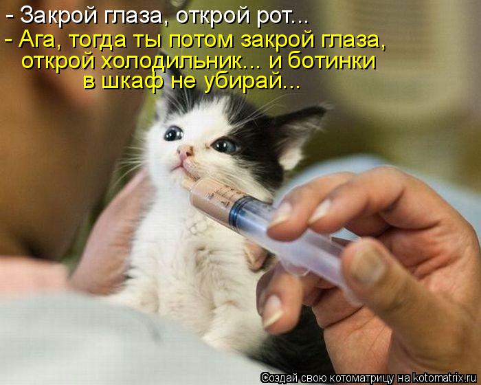 Котоматрица: - Закрой глаза, открой рот... - Ага, тогда ты потом закрой глаза, открой холодильник... и ботинки в шкаф не убирай...