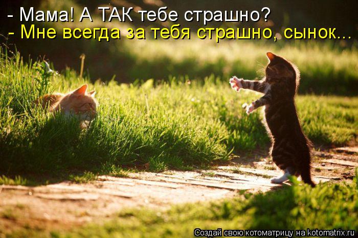 - Мама! А ТАК тебе страшно? - Мне всегда за тебя страшно, сынок...... Котоматрица: - Мама! А ТАК тебе страшно? - Мне всегда за тебя страшно, сынок...