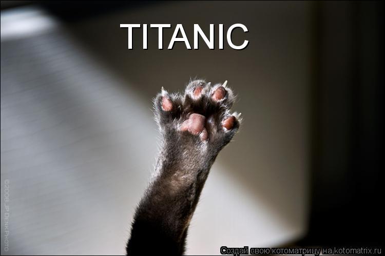 TITANIC... Котоматрица: TITANIC
