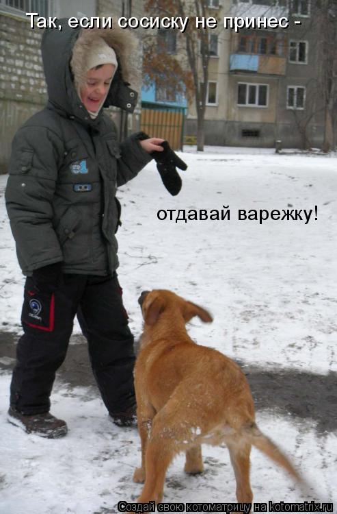 Так, если сосиску не принес - отдавай варежку!... Котоматрица: Так, если сосиску не принес - отдавай варежку!