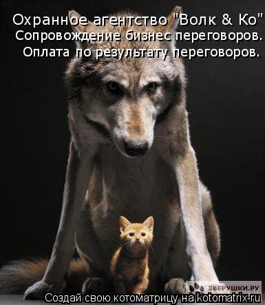 Охранное агентство "Волк & Ко" Сопровождение бизнес переговоров. Оплата по результату переговоров.... Котоматрица: Охранное агентство "Волк & Ко" Сопровождение бизнес переговоров. Оплата по результату переговоров.