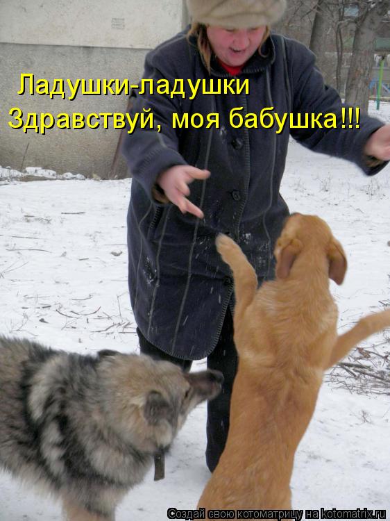 Ладушки-ладушки Здравствуй, моя бабушка!!!... Котоматрица: Ладушки-ладушки Здравствуй, моя бабушка!!!
