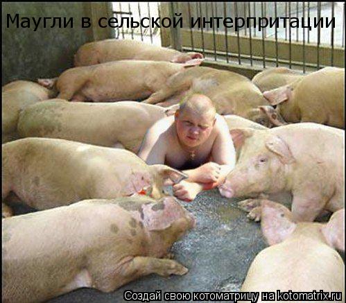 Маугли в сельской интерпритации... Котоматрица: Маугли в сельской интерпритации