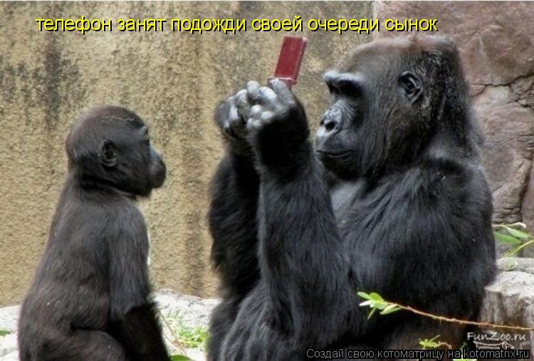 телефон занят подожди своей очереди сынок... Котоматрица: телефон занят подожди своей очереди сынок