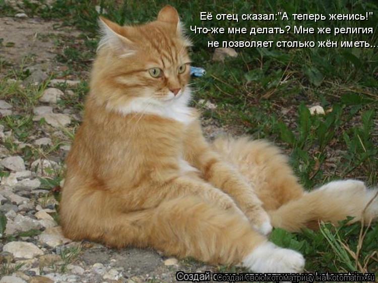 Её отец сказал:"А теперь женись!" Что-же мне делать? Мне же религия не позволяет столько жён иметь...... Котоматрица: Её отец сказал:"А теперь женись!" Что-же мне делать? Мне же религия не позволяет столько жён иметь...