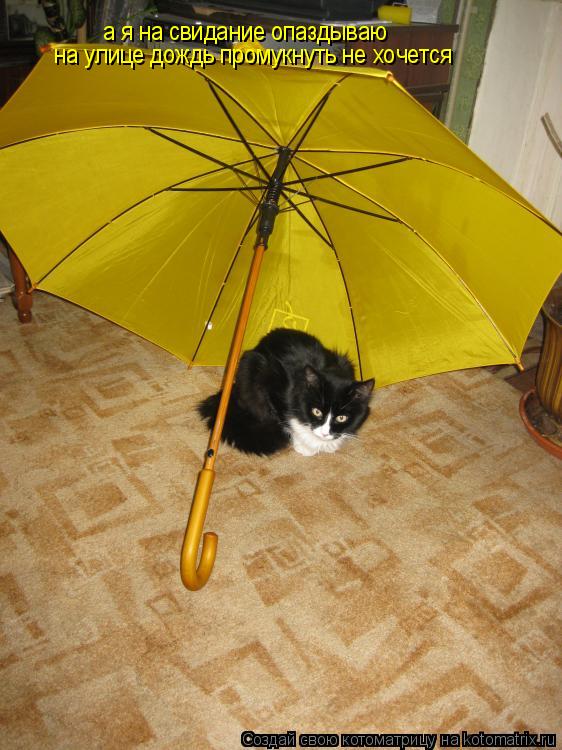а я на свидание опаздываю на улице дождь промукнуть не хочется... Котоматрица: а я на свидание опаздываю на улице дождь промукнуть не хочется