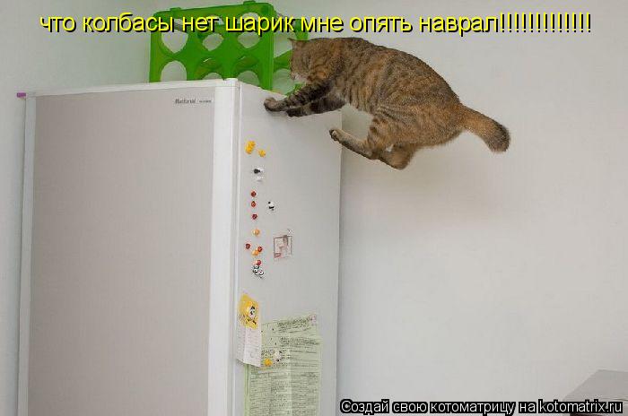 что колбасы нет шарик мне опять наврал!!!!!!!!!!!!!... Котоматрица: что колбасы нет шарик мне опять наврал!!!!!!!!!!!!!
