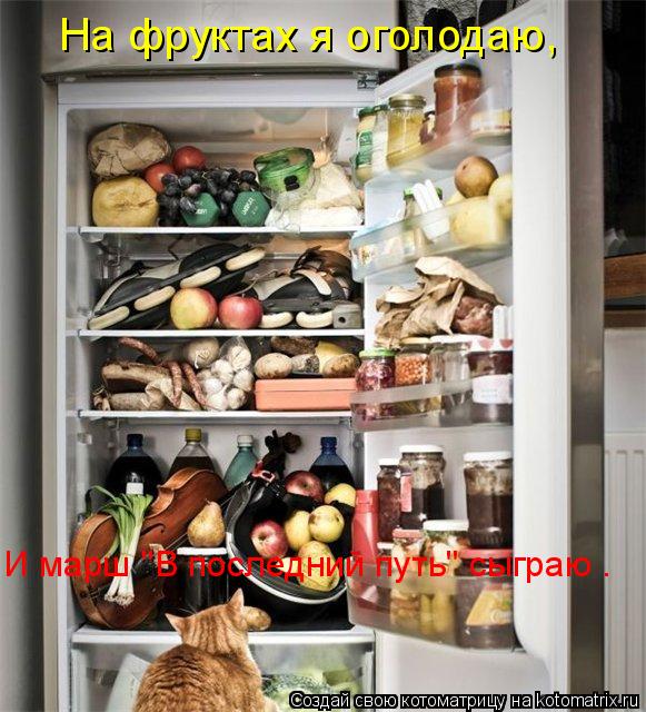 На фруктах я оголодаю, И марш "В последний путь" сыграю .... Котоматрица: На фруктах я оголодаю, И марш "В последний путь" сыграю .