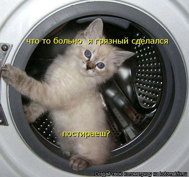 что то больно я грязный сделался постираеш?... Котоматрица: что то больно я грязный сделался постираеш?