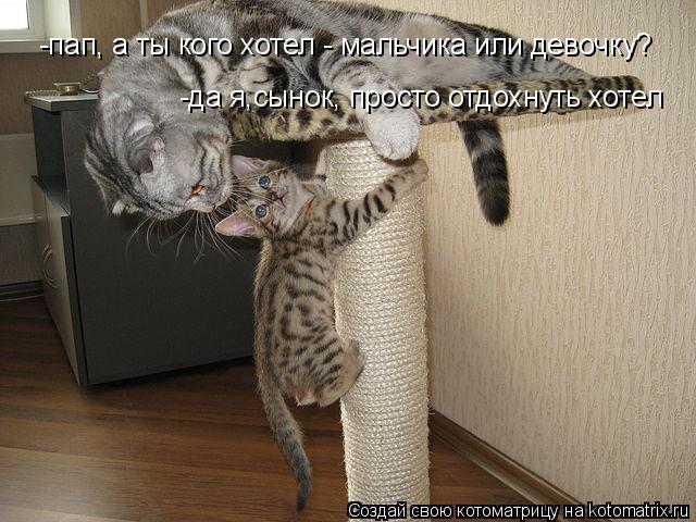 -пап, а ты кого хотел - мальчика или девочку? -да я,сынок, просто отдохнуть хотел... Котоматрица: -пап, а ты кого хотел - мальчика или девочку? -да я,сынок, просто отдохнуть хотел