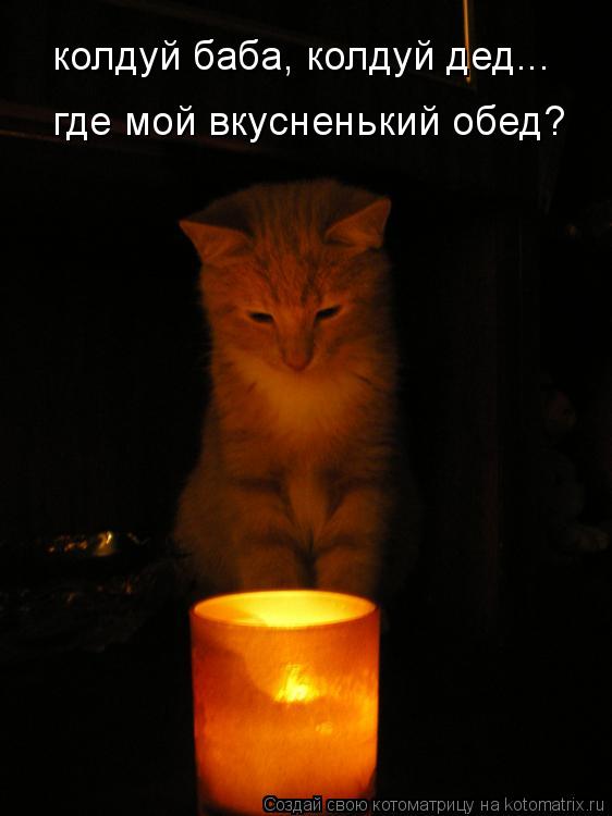 колдуй баба, колдуй дед... где мой вкусненький обед?... Котоматрица: колдуй баба, колдуй дед... где мой вкусненький обед?