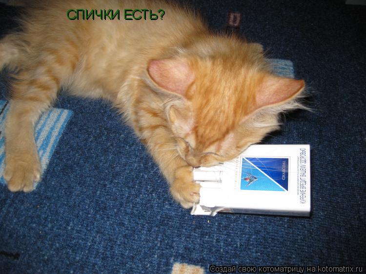 СПИЧКИ ЕСТЬ?... Котоматрица: СПИЧКИ ЕСТЬ?
