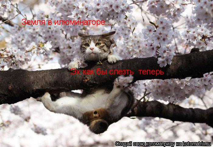 Земля в илюминаторе... Эх как бы слезть теперь... Котоматрица: Земля в илюминаторе... Эх как бы слезть теперь