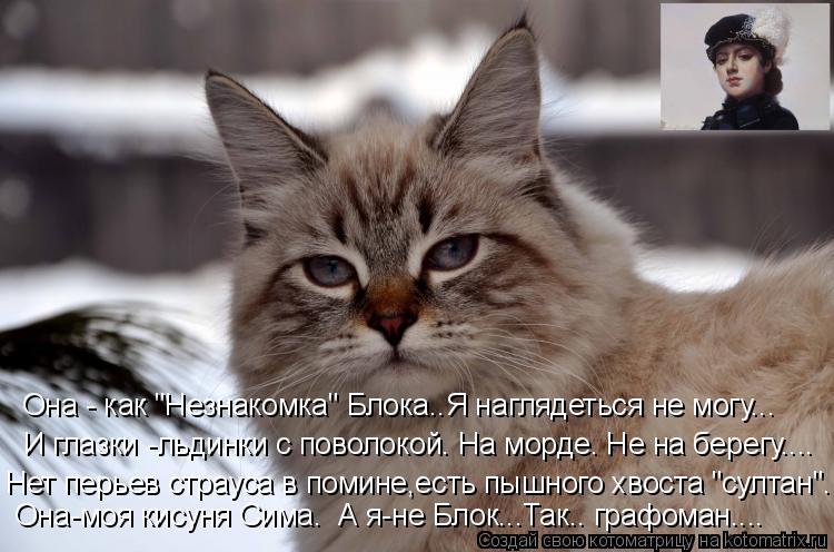 Она - как "Незнакомка" Блока..Я наглядеться не могу... И глазки -льдинки с поволокой. На морде. Не на... Котоматрица: Она - как "Незнакомка" Блока..Я наглядеться не могу... И глазки -льдинки с поволокой. На морде. Не на берегу.... Нет перьев страуса в помине,есть п
