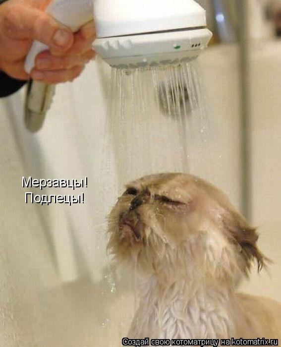 Мерзавцы! Подлецы!... Котоматрица: Мерзавцы! Подлецы!