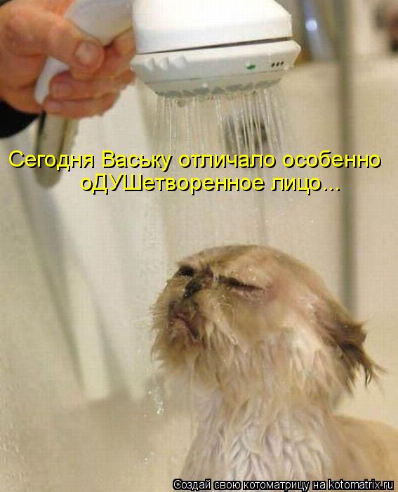 Котоматрица: Сегодня Ваську отличало особенно оДУШетворенное лицо...