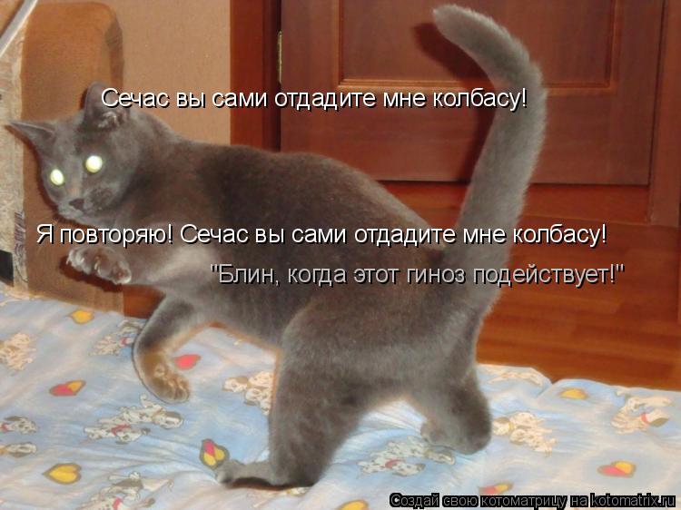 Сечас вы сами отдадите мне колбасу! Я повторяю! Сечас вы сами отдадите мне колбасу! "Блин, когда этот... Котоматрица: Сечас вы сами отдадите мне колбасу! Я повторяю! Сечас вы сами отдадите мне колбасу! "Блин, когда этот гиноз подействует!"